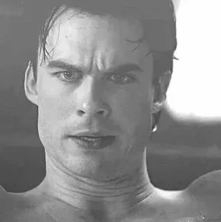 ▪️ 1c479c06 telegram sticker