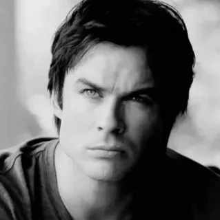 ▪️ 88e3f906 telegram sticker