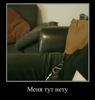 🐈 3b4ec9b8 Меня тут нету gatto, divano, nascondino, russo, meme telegram sticker