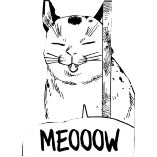 🌟 0d0b6dd1 MEOOOW 고양이, 야옹, 새끼 고양이, 귀여운, 동물 telegram sticker