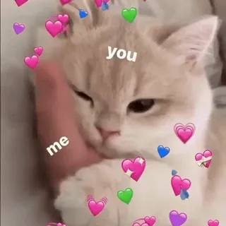 🎈 85bcedb3 you me kot, miłość, serce, uczuć, mem telegram sticker