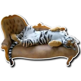 Derptacular Felines telegram stickers