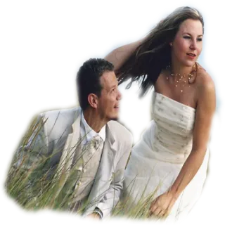 💑 0173c2f6 mariage, mariée, marié, couple, mariage, romance, célébration, amour whatsapp sticker