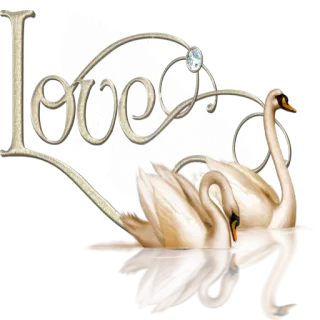 ❤️ 21da0cfe Love cygne, amour, animal, oiseau, orné, romantique whatsapp sticker