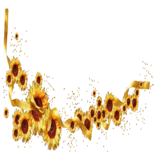 🌼 969cdeb6 tournesol, floral, décoration, jaune, ruban whatsapp sticker