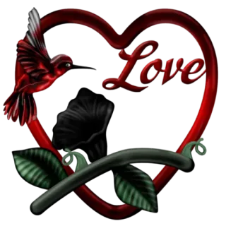 ❤️ aa52ec4c Love amour, coeur, colibri, romantique, saint-valentin, floral whatsapp sticker