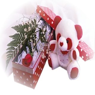 ❤️ bd31698f ours en peluche, cadeau, rose, fleurs, présent, amour, saint valentin, coeur whatsapp sticker