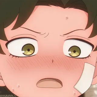 ⚜️ dc065e51 telegram sticker