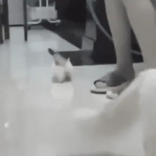 🤓 c9a9f0aa whatsapp sticker