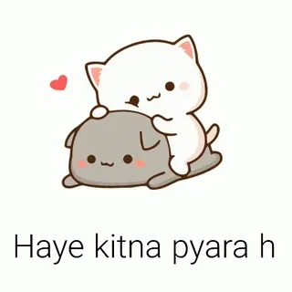 😘 9164671f Haye kitna pyara h 可爱, 猫, 心, 爱, 迷人, 喜爱 telegram sticker