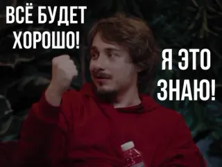 Известный тиктокер :: @fStikBot telegram stickers