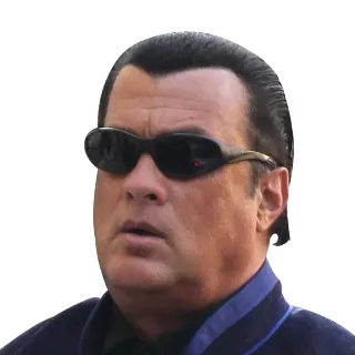 🕶 047017f8 Steven Seagal attore, star del cinema, azione, celebrità, arti marziali, film whatsapp sticker
