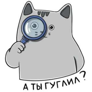 😳 2f60727a А ТЫ ГУГЛИЛ? gato, lupa, búsqueda, pregunta, gris, pegatina whatsapp sticker