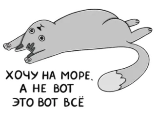 😒 cb3a04f8 ХОЧУ НА МОРЕ, А НЕ ВОТ ЭТО ВОТ ВСЁ gato, mar, playa, dibujos animados, animal, gris whatsapp sticker