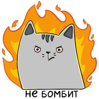 🔥 da6a6907 НЕ БОМБИТ gato, enojado, fuego, pegatina, ilustración, dibujo animado, ruso whatsapp sticker