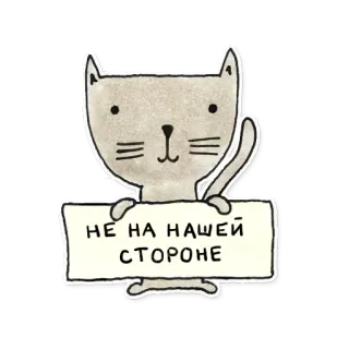 🙂 7968dcf6 НЕ НА НАШЕЙ СТОРОНЕ gato, señal, animal, ruso, mensaje telegram sticker
