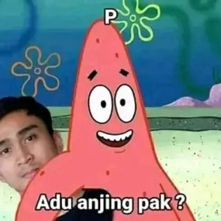 😳 e4f66c32 Patrick Star Spongebob Squarepants Adu anjing pak ? patrick star, spongebob, kartun, meme, lucu, menyinggung, teks, anjing whatsapp sticker