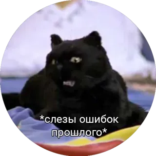 🤨 010d47ab *слезы ошибок прошлого* Katze, schwarze Katze, Tränen, Fehler, Vergangenheit, traurig, Meme telegram sticker