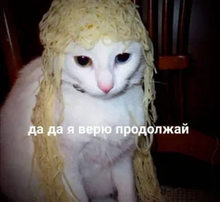 🤡 042e3cd7 да да я верю продолжай Katze, Pasta, Lustig, Meme, Russisch, Internet-Meme telegram sticker