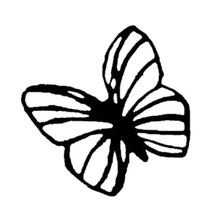 🐞 1ebfd94d Schmetterling, Insekt, Natur, Flügel, Schwarzweiß, Aufkleber telegram sticker