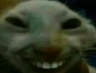 😃 2f9f5b2f Tier, Hase, Meme, Gruselig, Lustig, Internet-Meme telegram sticker