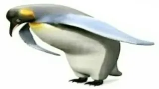 🙄 3341f34c Pinguin, Vogel, Tier, Wildtier telegram sticker