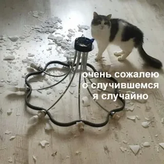 🙁 3e103bf7 очень сожалею о случившемся я случайно Katze, kaputt, Kronleuchter, Entschuldigung, Unfall, Unfug, lustig, Haustier telegram sticker