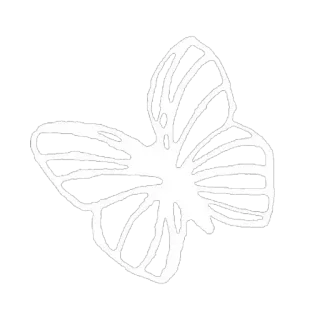 👍 69bf17e4 Schmetterling, Insekt, Natur, Weiß, Umriss, Design telegram sticker