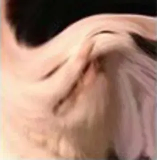 😀 989eab9e telegram sticker