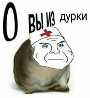 🤠 a119cfe4 O ВЫ ИЗ дурки Meme, Beleidigend, Witz, Humor, Krankenschwester, Irrenanstalt telegram sticker