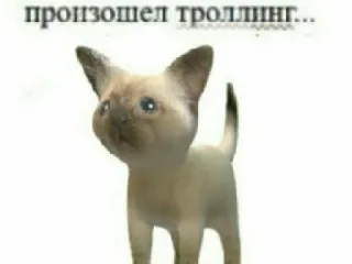 🤨 a9104fe6 произошел троллинг... Katze, Trolling, Meme, Lustig, Humor, Russisch telegram sticker