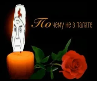 🧐 c09235c7 Почему не в палате Kerze, Rose, Arzt, Krankenschwester, Meme, Russisch, Text telegram sticker