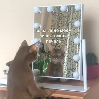 ☹️ c5aa395c во взгляде моем лишь тоска и печаль Katze, Spiegel, Spiegelung, traurig, Melancholie, Haustier telegram sticker