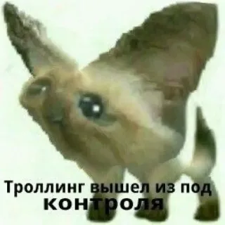 🤨 dffae951 Троллинг вышел из под КОНТРОЛЯ Meme, Trolling, Lustig, Internet, Tier telegram sticker