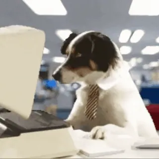 💻 56e09761 cachorro, negócios, computador, escritório, gravata, trabalho telegram sticker