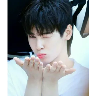 Cha Eunwoo telegram stickers
