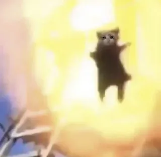 😭 6bf612d1 kucing, ledakan, meme, humor telegram sticker