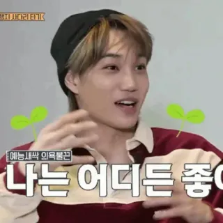 🇦🇹 0131c93d 나는 어디든 좋아 kpop, coréen, personne, intérieur, chapeau, homme, traduit whatsapp sticker