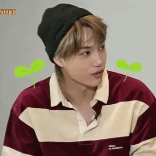 🇦🇹 d5a709fa whatsapp sticker