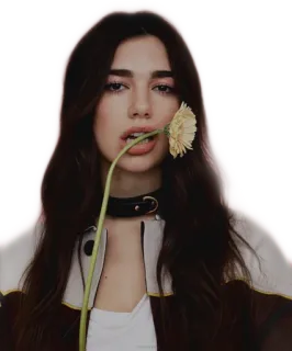 😌 b8c95822 Dua Lipa Dua Lipa, chanteuse, célébrité, fleur telegram sticker