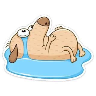 😂 3c47f32a Hund, Pool, Entspannung, Tier, Cartoon, süß telegram sticker