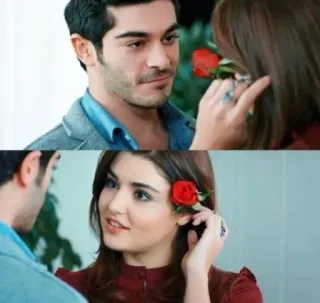 🌹 e457f785 浪漫, 爱, 情侣, 玫瑰, 关系, 感情 telegram sticker