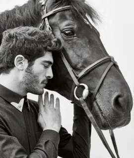 🐎 f6860e14 马, 男人, 动物, 马术, 肖像, 友谊 telegram sticker