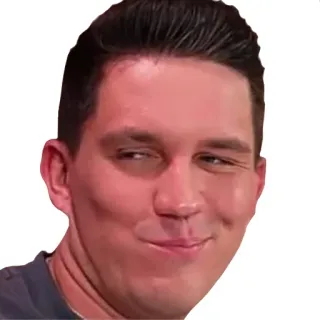 😏 e1b3ed35 坏笑, 男人, 脸, 表情包, 人, 表情, 肖像 telegram sticker