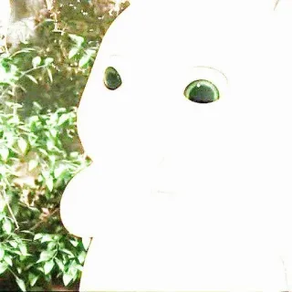 🌟 35d33532 telegram sticker