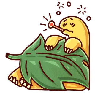 🤒 924c9e6e kura-kura, sakit, termometer, daun, kartun, binatang, penyakit telegram sticker