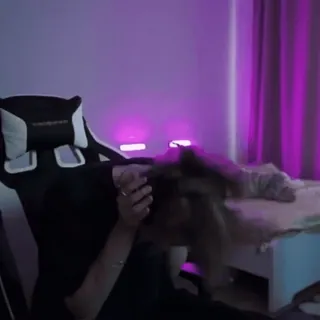 🎵 410c12a7 telegram sticker