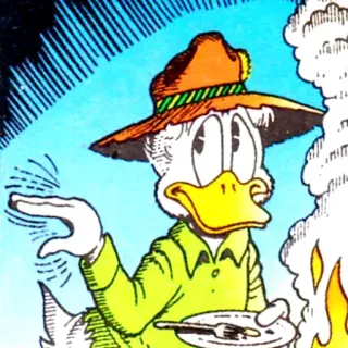 🤏 7d63d58e Desenho animado, Pato, Chapéu, Cozinhando, Fogueira whatsapp sticker