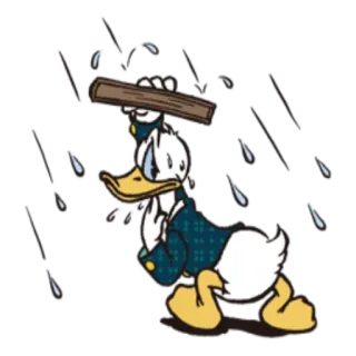 🌧 541e9c09 Donald Duck donald duck, disney, cartoon, duck, character, rain, umbrella telegram sticker