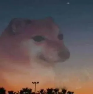 🎌 76c34899 Doge doge, meme, cachorro, pôr do sol, céu, paisagem whatsapp sticker